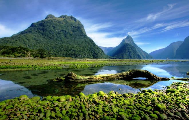 Green landscape